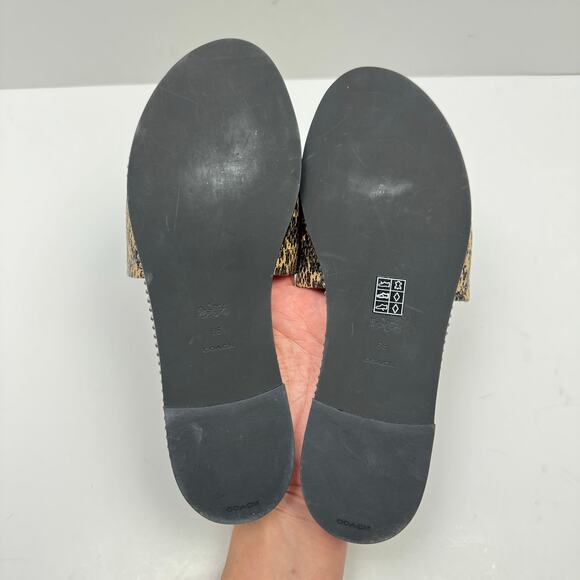 Coach | Women's Hayden Reptile Print Beadchain Flat Slide Sandals - Picture 10 of 10